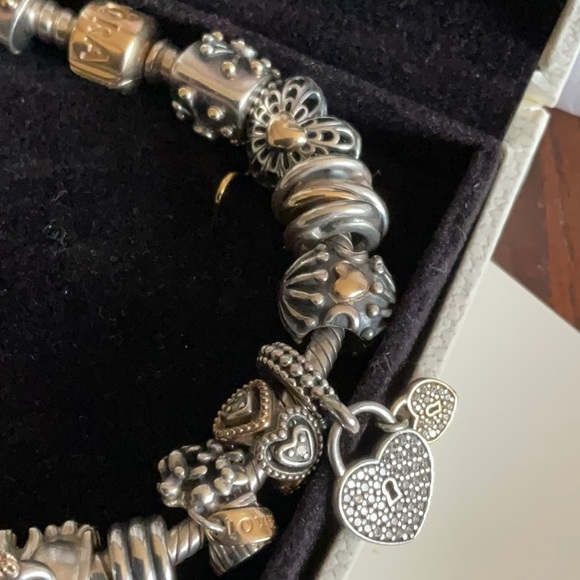 Pandora two tone bracelet with 24 two tone Pandora charms - Picture 4 of 6